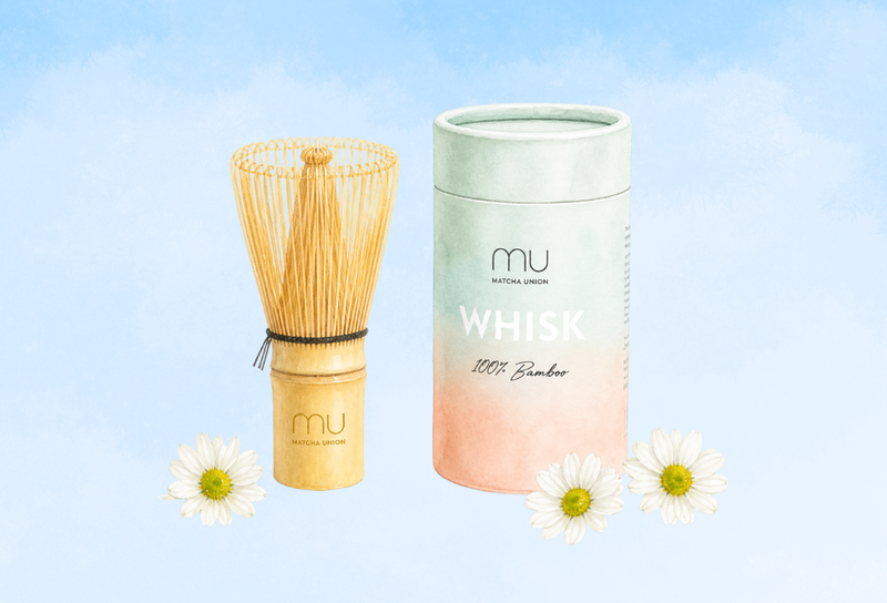 Matcha Whisk 101: Everything you need to know