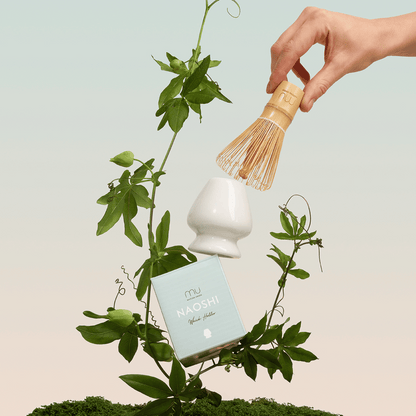 Hand holding a bamboo matcha whisk above a white ceramic holder, with its Naoshi box displayed among green climbing stems.
