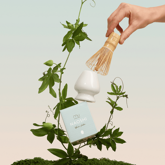 Hand holding a bamboo matcha whisk above a white ceramic holder, with its Naoshi box displayed among green climbing stems.