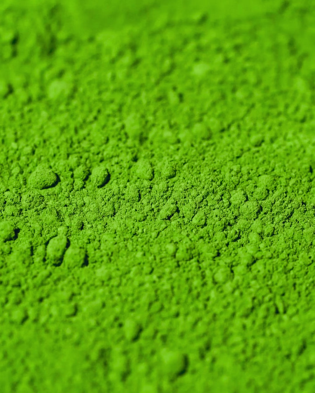 Matcha Union Powder
